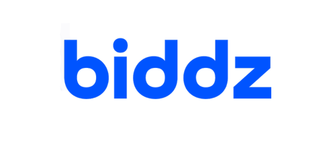 Logo BIDDZ
