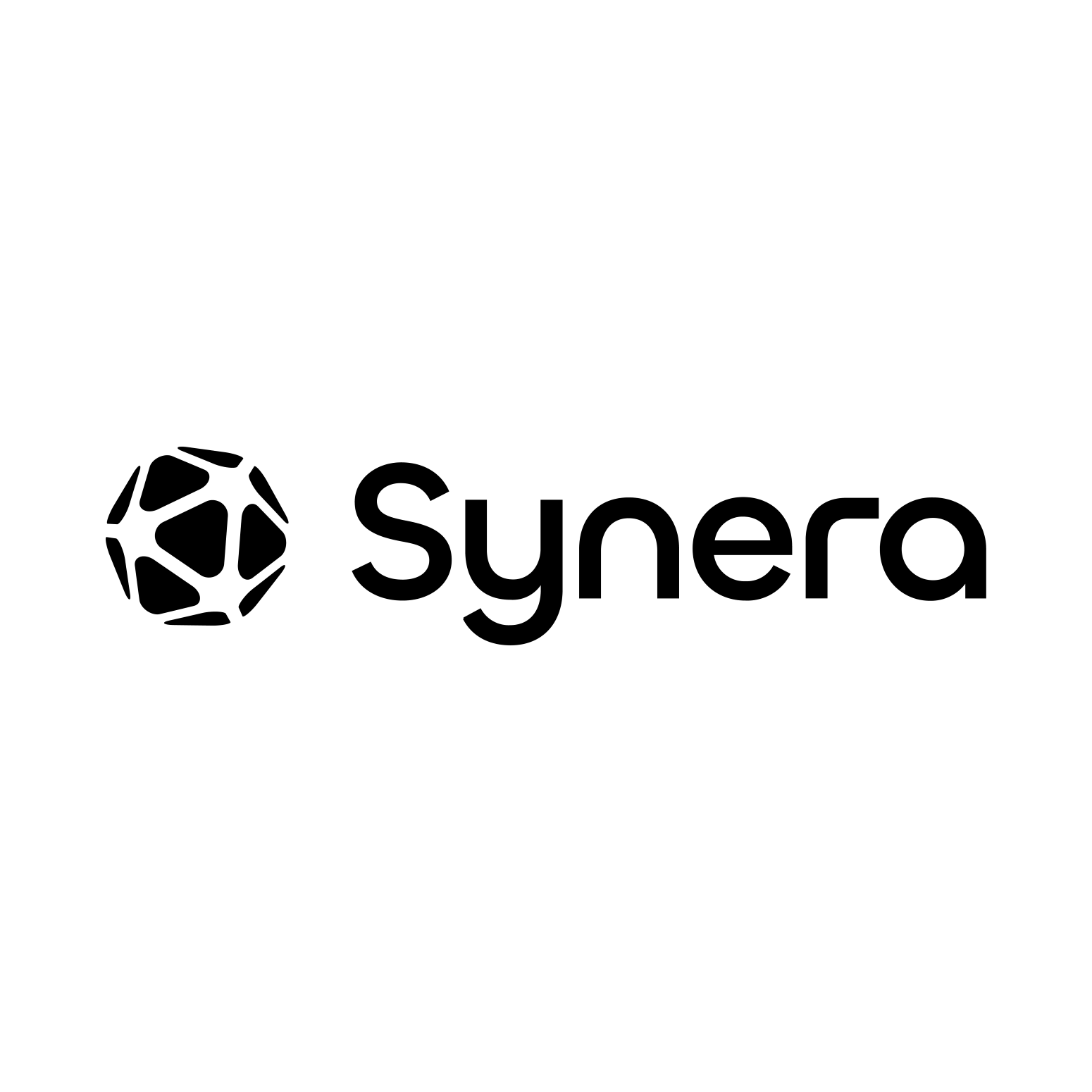 Logo SYNERA